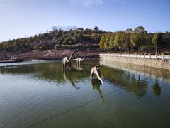 -西峡恐龙遗迹园