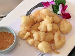 -中苑海韵