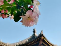 -海棠花溪(元大都城垣遗址公园)