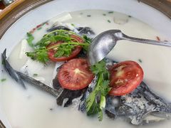 -全乐鱼馆·淳牌有机鱼直营店