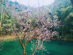 -常德桃花源景区