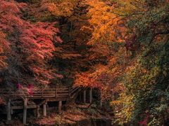 -光雾山旅游景区