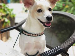 -默迹咖啡馆