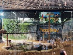 -清迈夜间动物园