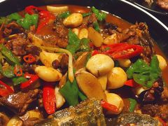 口味甲鱼-湘里乡亲甲王二老店
