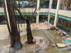 -麒麟中餐厅·经典粤菜·地道菜式老字号(广州长隆酒店)