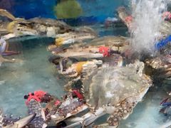 -鑫渔港海鲜本地菜·山海关浑锅(东戴河店)