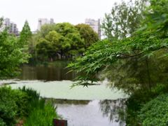 -圩墩遗址公园