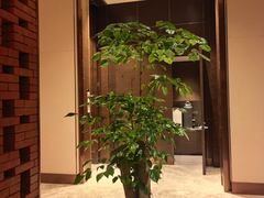 -领事馆19号中餐厅(厦门海景洲际酒店)