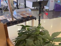 -云海肴·汽锅鸡·云南菜(领展购物广场·中关村店)