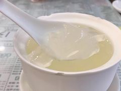 芦荟炖海底椰-仁信老铺(华盖路店)