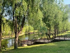 -长春公园(普阳街道)