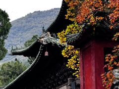 -报恩寺(平武县)