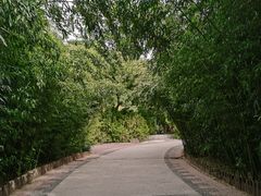 -莲花池公园