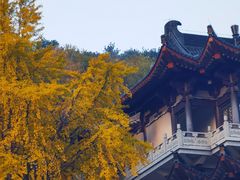 -句容茅山景区