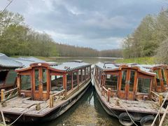 -上海海湾国家森林公园