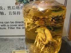 -九江双蒸博物馆