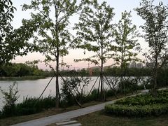 -昆山城市生态森林公园