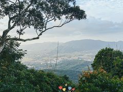 -三亚亚龙湾人间天堂鸟巢度假村