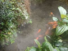 -颐而康·按摩·艾灸·足疗(武陵大道店)