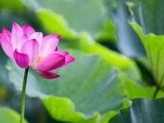 -四川大学(华西校区)