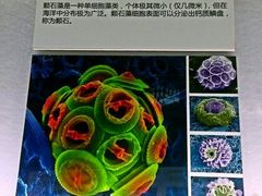 景点-同济大学四平路校区深海探索馆