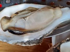 -锅老头铁锅炖•大锅蒸汽海鲜(韩乐坊店)