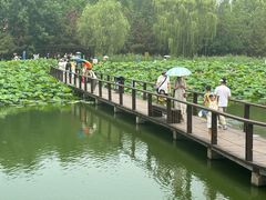 -前关湿地公园