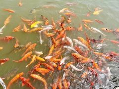 -春晖园度假酒店温泉