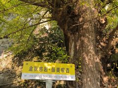 -大慈岩风景区