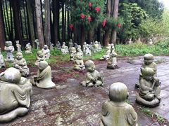 -武陵山森林公园