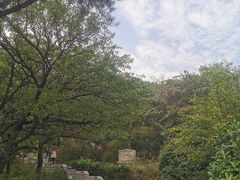 -崂山仰口游览区
