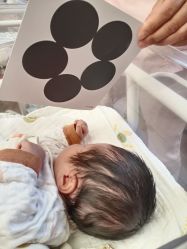 -千禧果月子会所(郑州东站店)