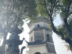 -苏州上方山国家森林公园