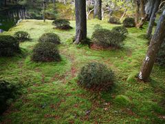 -西芳寺(苔寺)
