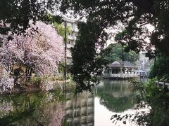 -黄埔古港