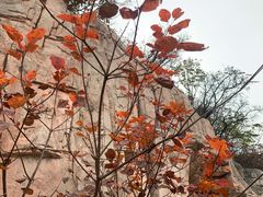 -北京西山国家森林公园