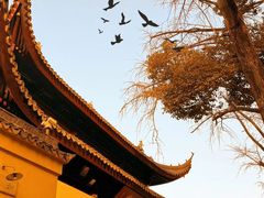 -西园戒幢律寺