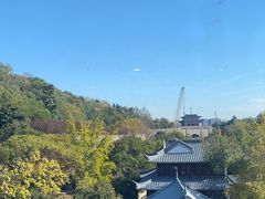 -七欣天香辣蟹火锅(南京建宁路大观天地店)