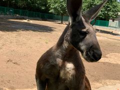 -西安秦岭野生动物园