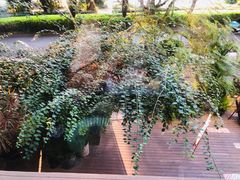 -时光花园(白鹭洲店)