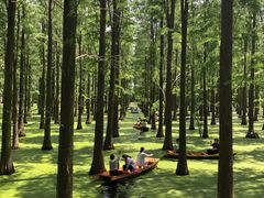 -渌洋湖湿地公园