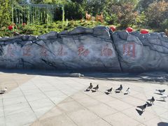 -大连森林动物园