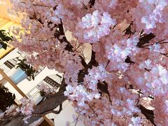 -汤里来温泉
