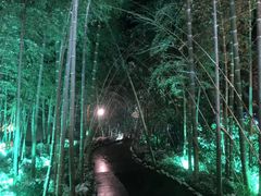 -天目湖御水温泉·度假酒店