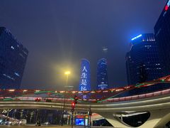 -合景·悠方(成都店)