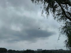 -长春北湖公园