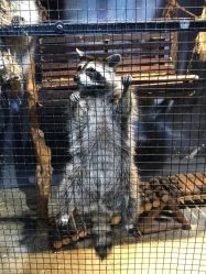 -酷嗒动物文化乐园(cutezoo西溪乐天城店)