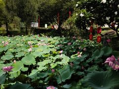 -广州莲花山旅游区