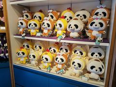 -熊猫屋(宽窄巷子景区店)